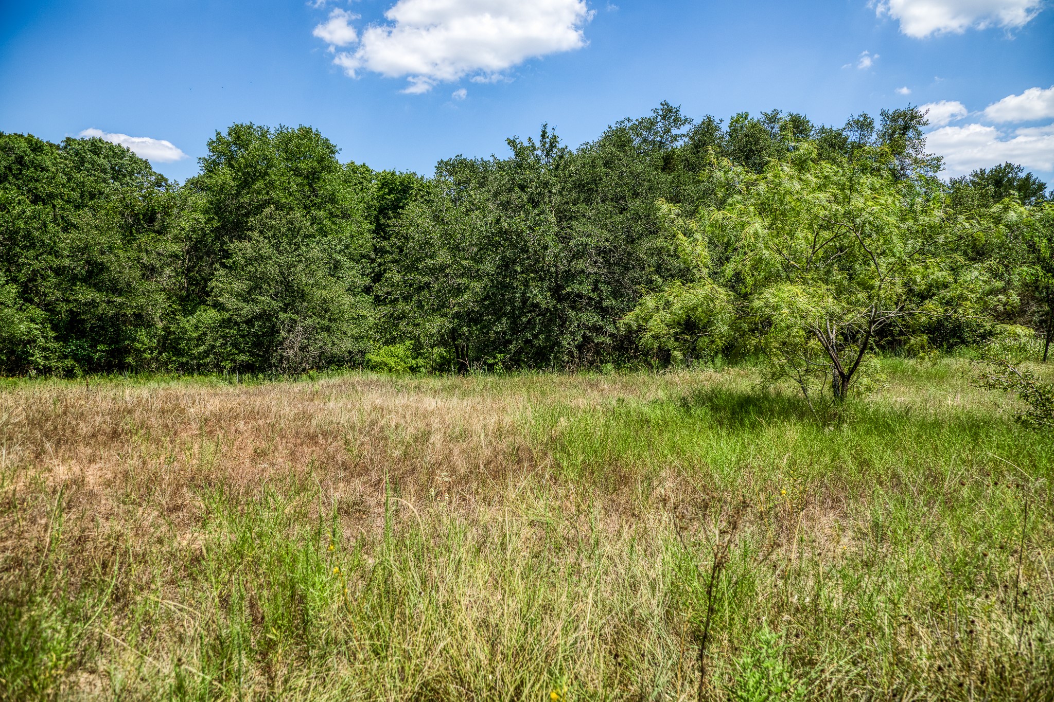 Weatherford TX 76088