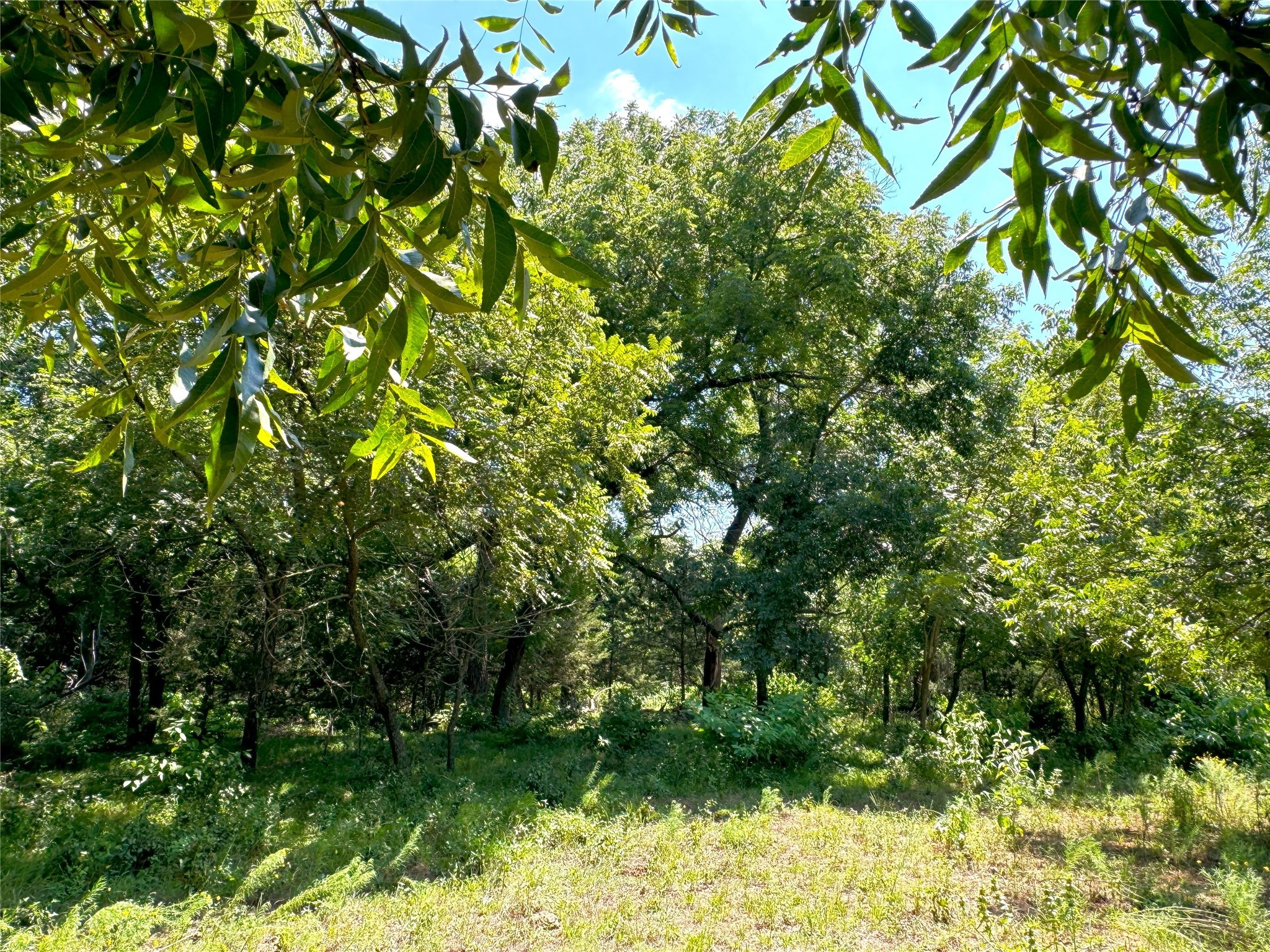 Weatherford TX 76088