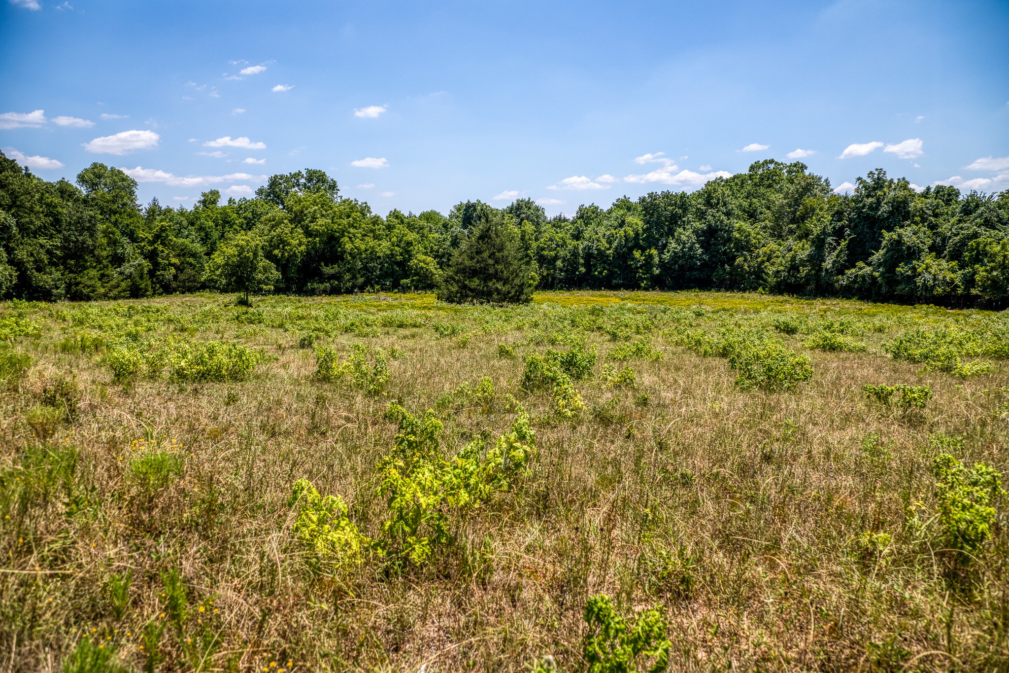 Weatherford TX 76088