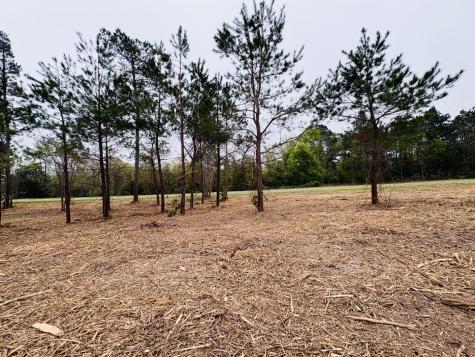 TBD (Tract B) Fm 711 Center TX 75935