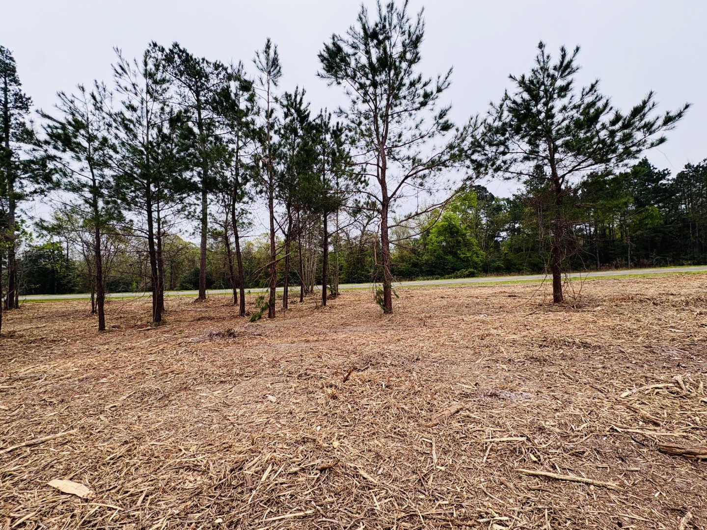 Tbd (Tract B) Fm 711 Center TX 75935