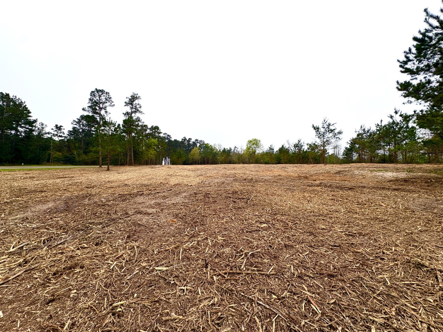 Tbd (Tract B) Fm 711 Center TX 75935