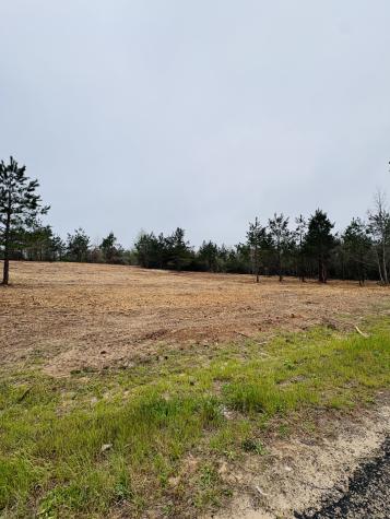 Tbd (Tract B) Fm 711 Center TX 75935