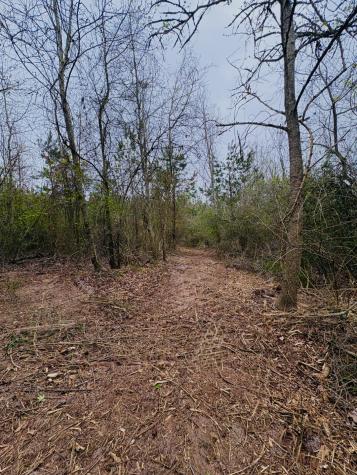 Tbd (Tract B) Fm 711 Center TX 75935
