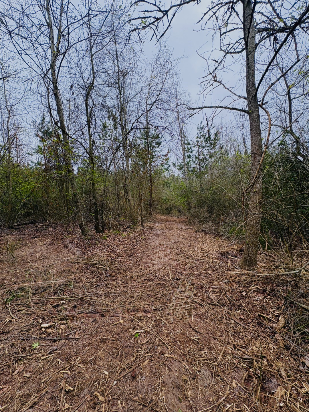 Tbd (Tract B) Fm 711 Center TX 75935