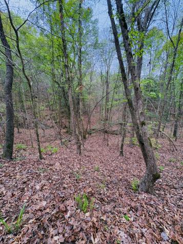 Tbd (Tract B) Fm 711 Center TX 75935