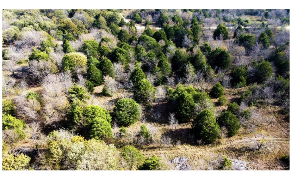 Tbd SE County Road 3060 Corsicana TX 75109
