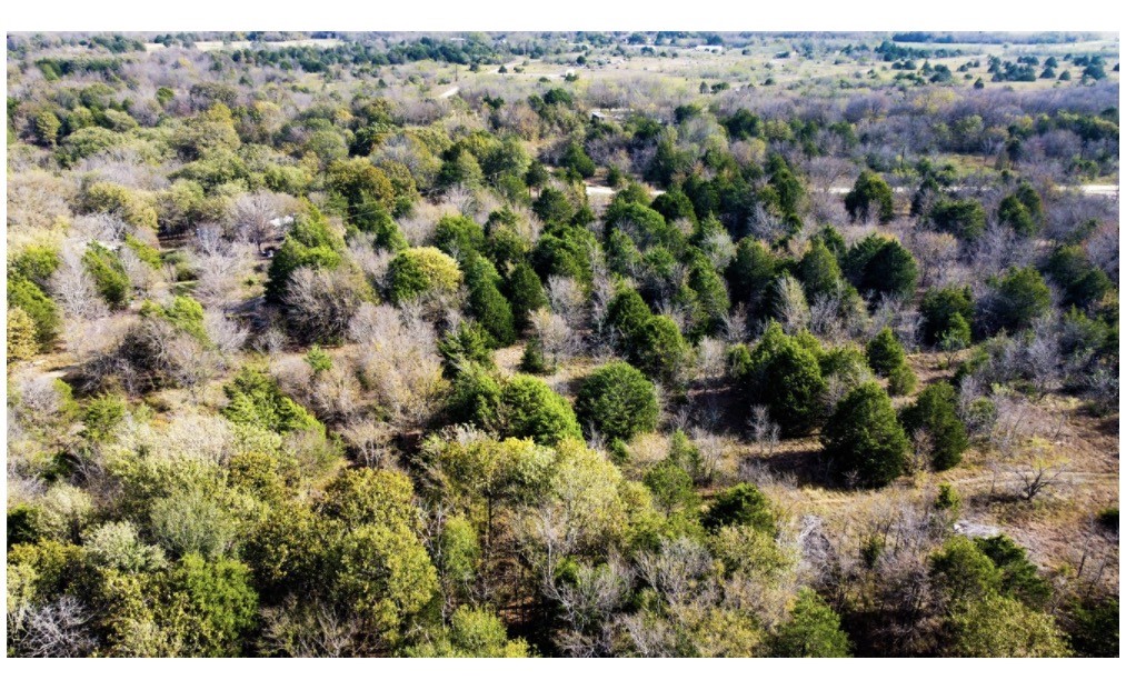 Tbd SE County Road 3060 Corsicana TX 75109