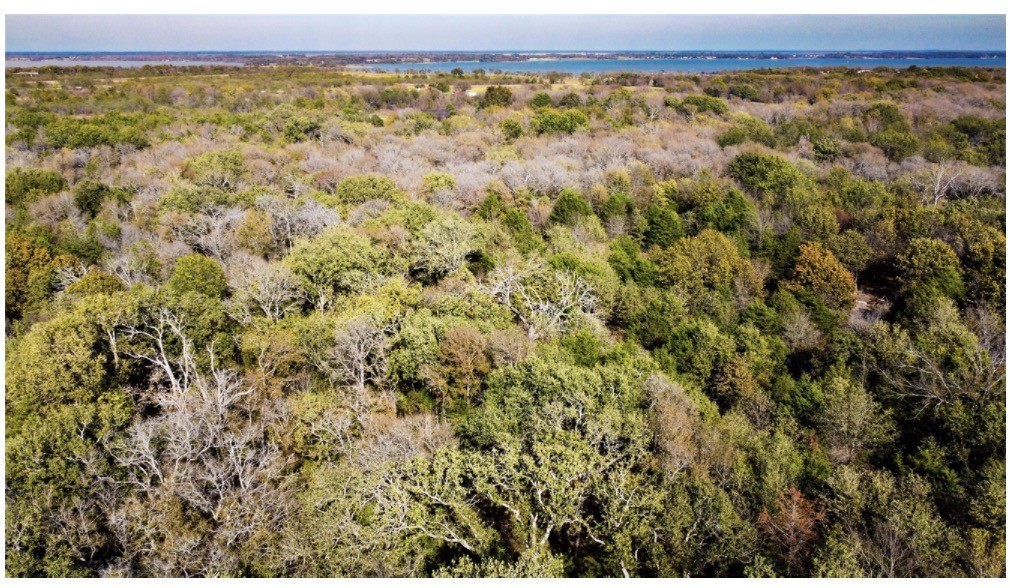 Tbd SE County Road 3060 Corsicana TX 75109