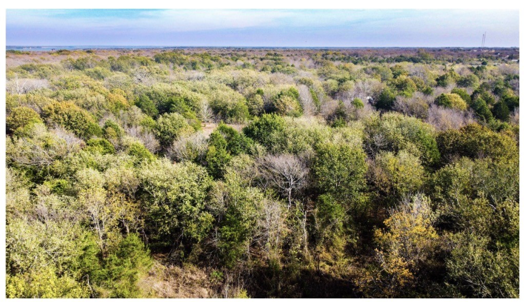 Tbd SE County Road 3060 Corsicana TX 75109
