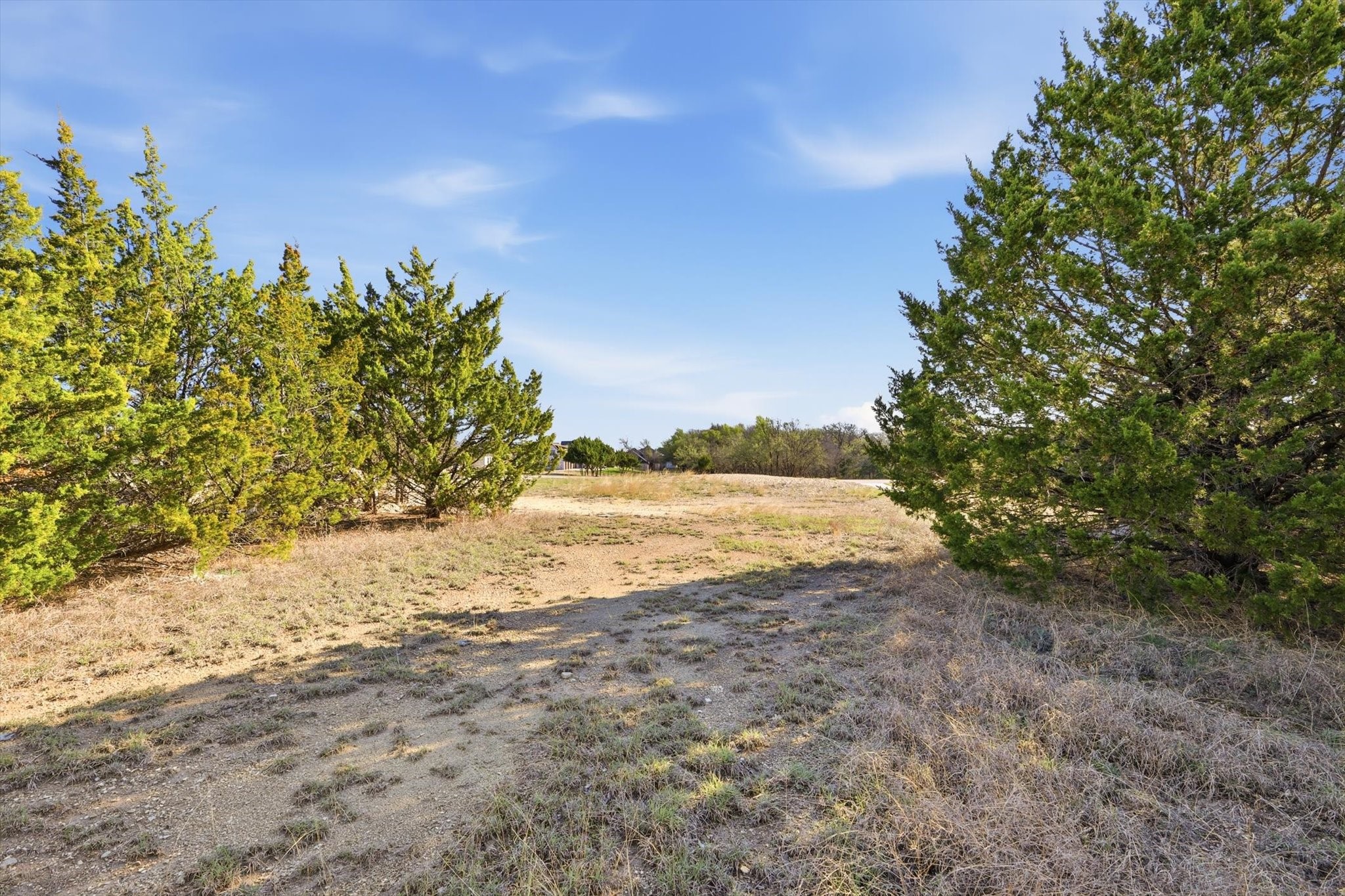 6071 Sage Oaks Drive Midlothian TX 76065
