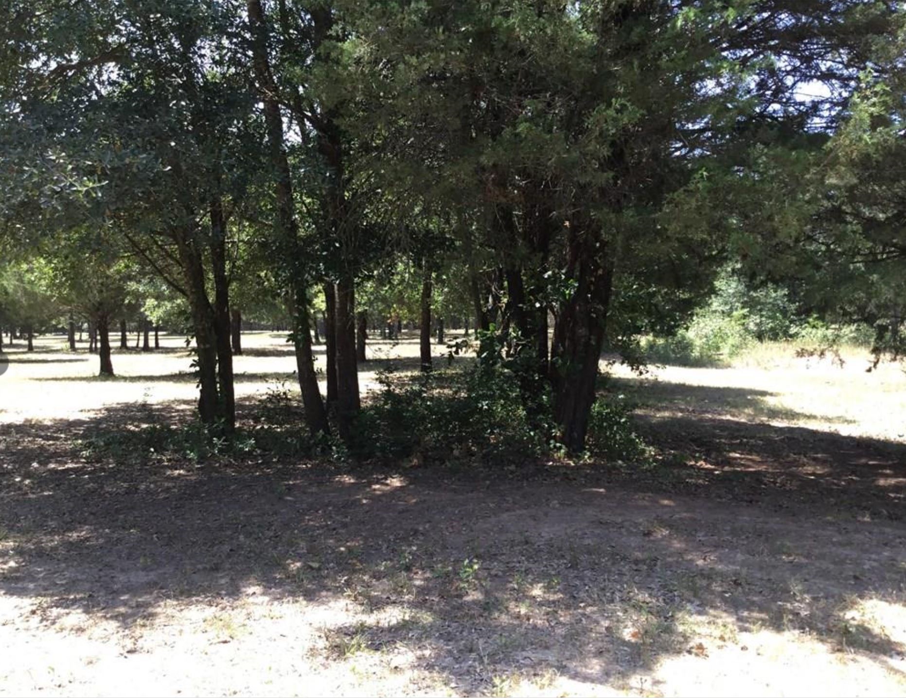 11011 Hiram Road Terrell TX 75161