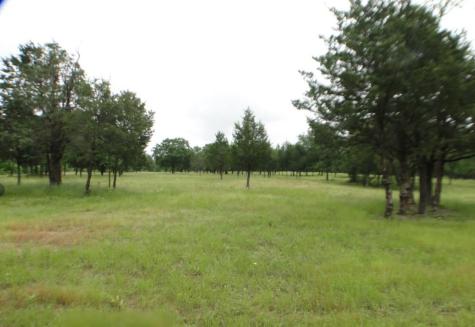 11011 Hiram Road Terrell TX 75161