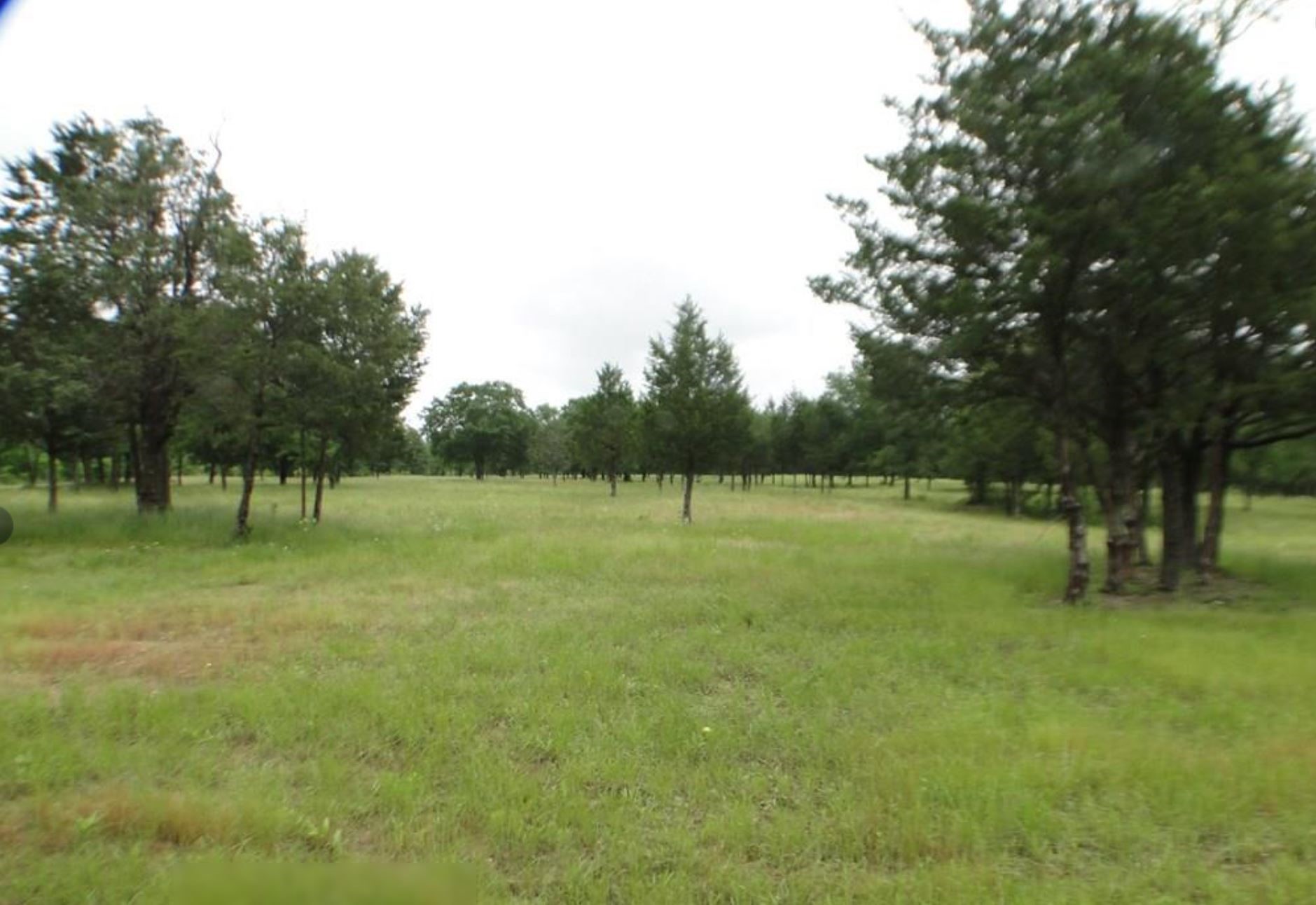 11011 Hiram Road Terrell TX 75161