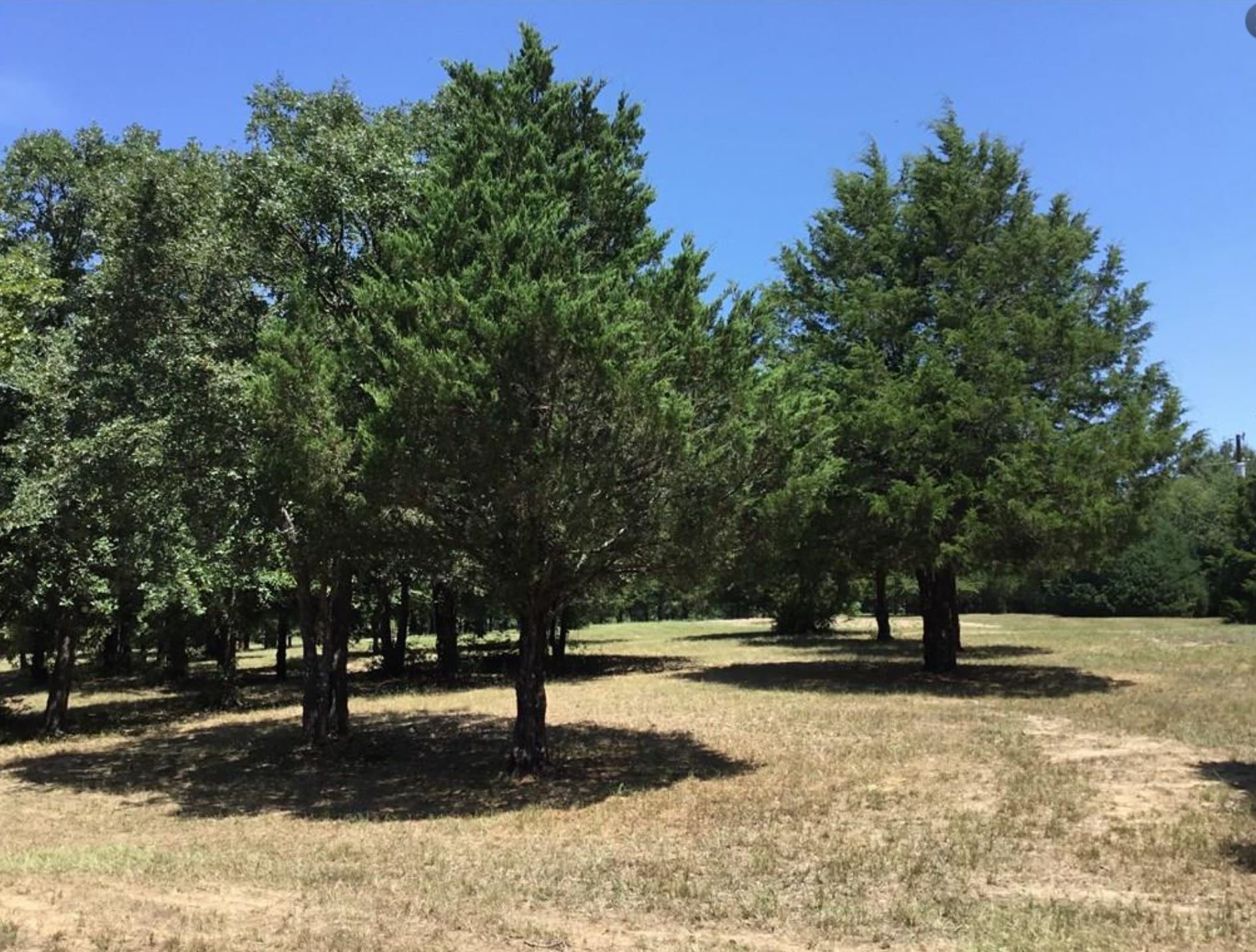 11011 Hiram Road Terrell TX 75161