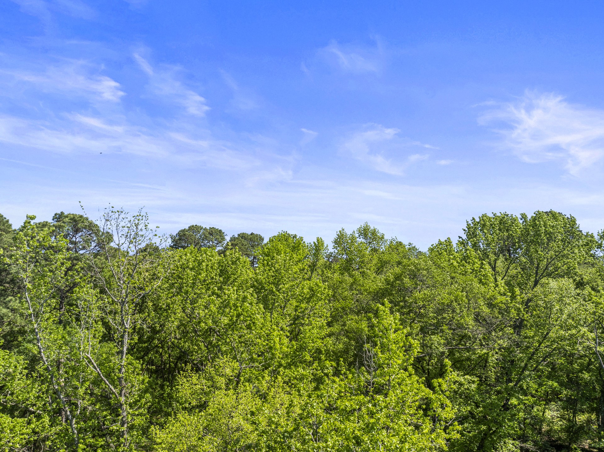 Lot 18 Country Club Road Scroggins TX 75480