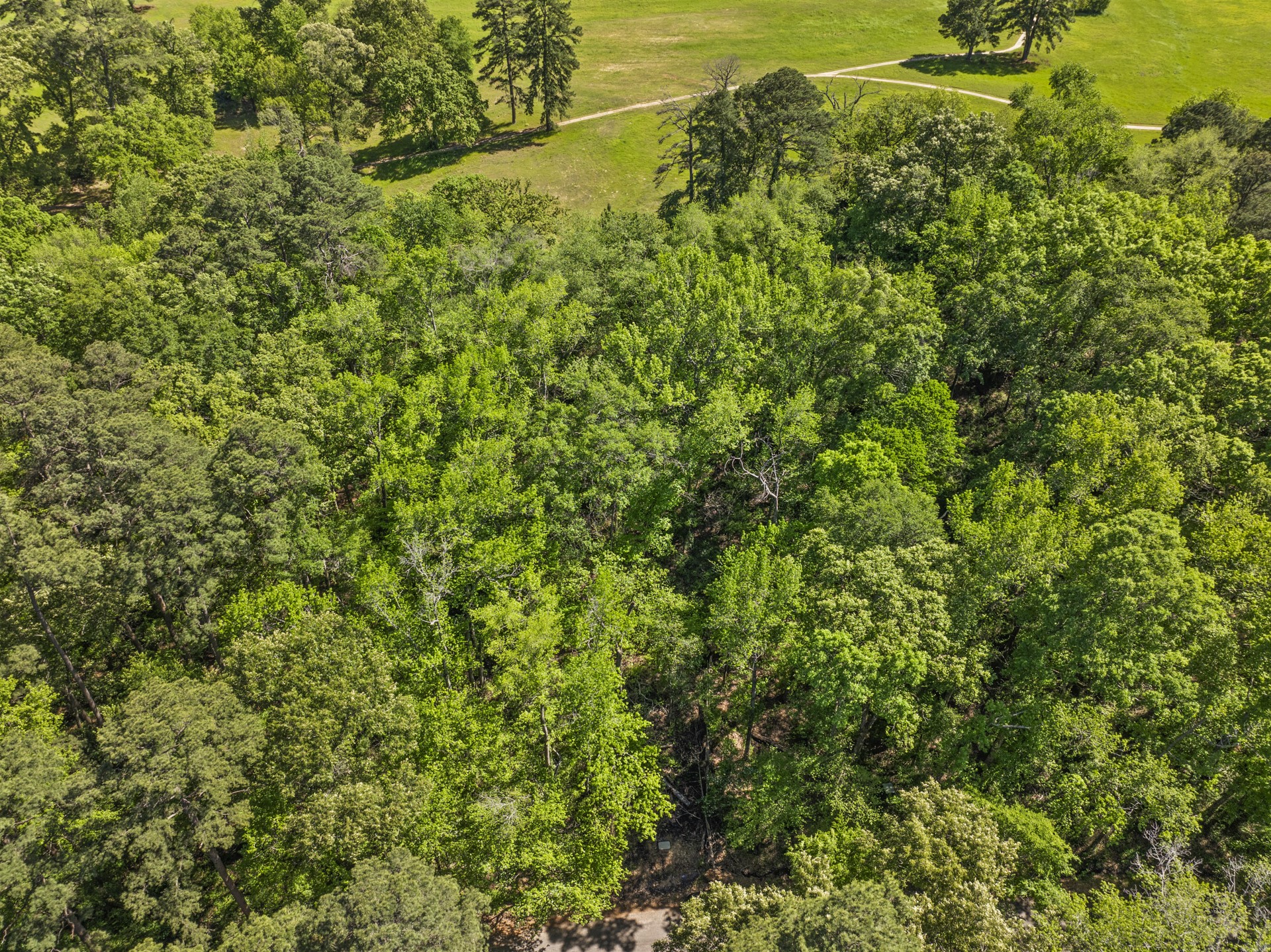 Lot 18 Country Club Road Scroggins TX 75480