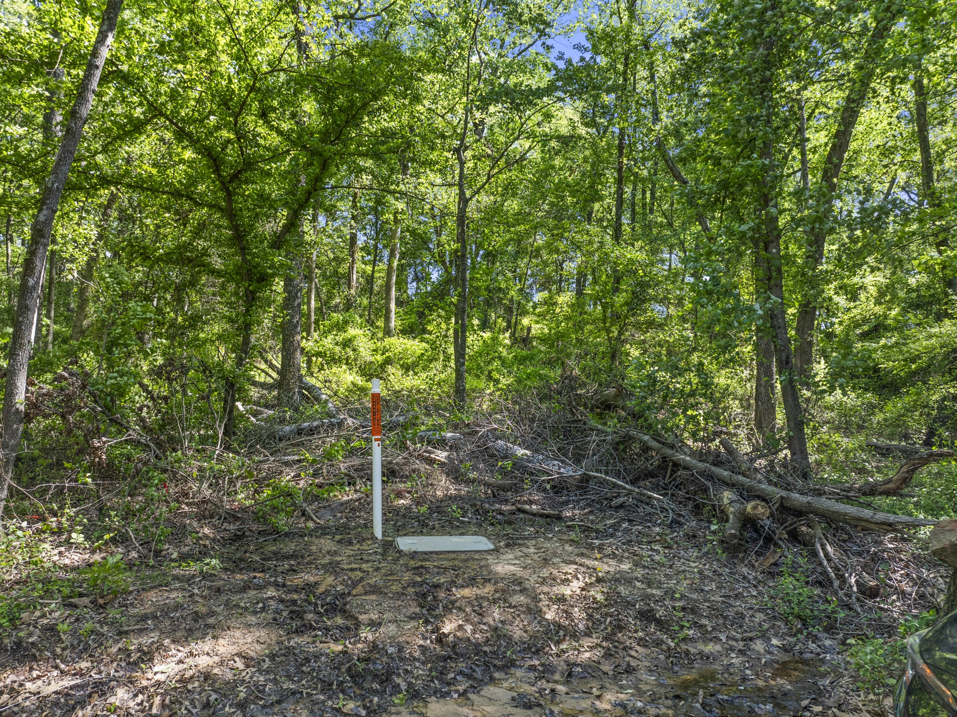 Lot 18 Country Club Road Scroggins TX 75480