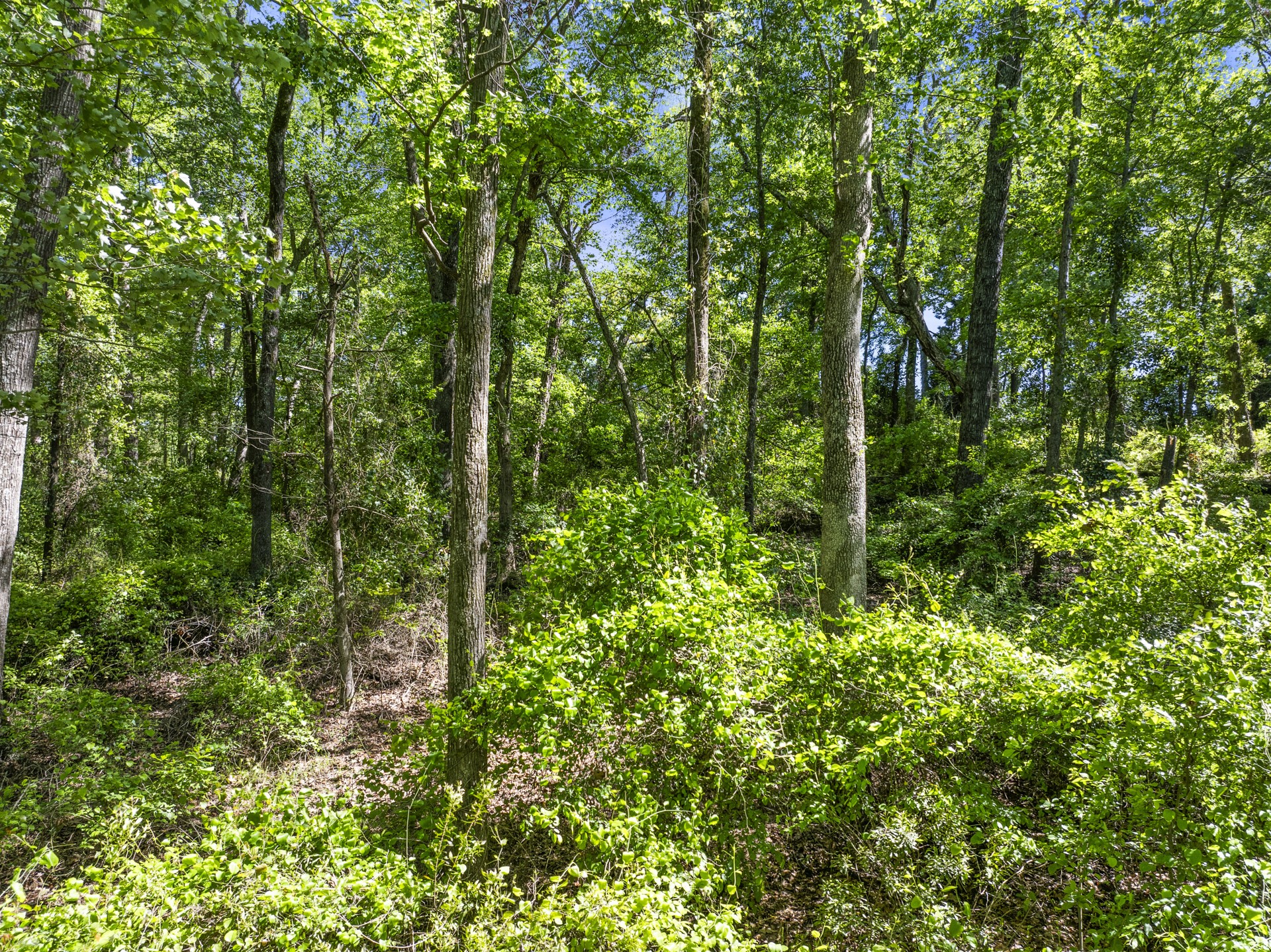 Lot 18 Country Club Road Scroggins TX 75480