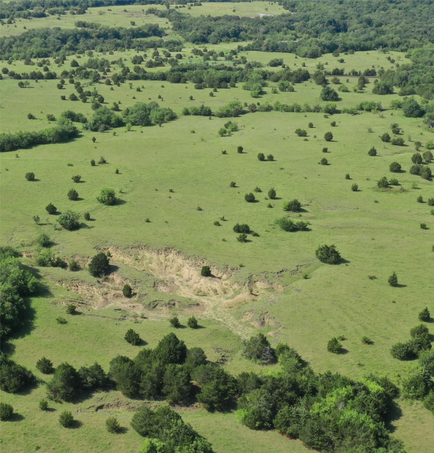 Tbd Lot 1 County Road 703 Farmersville TX 75442