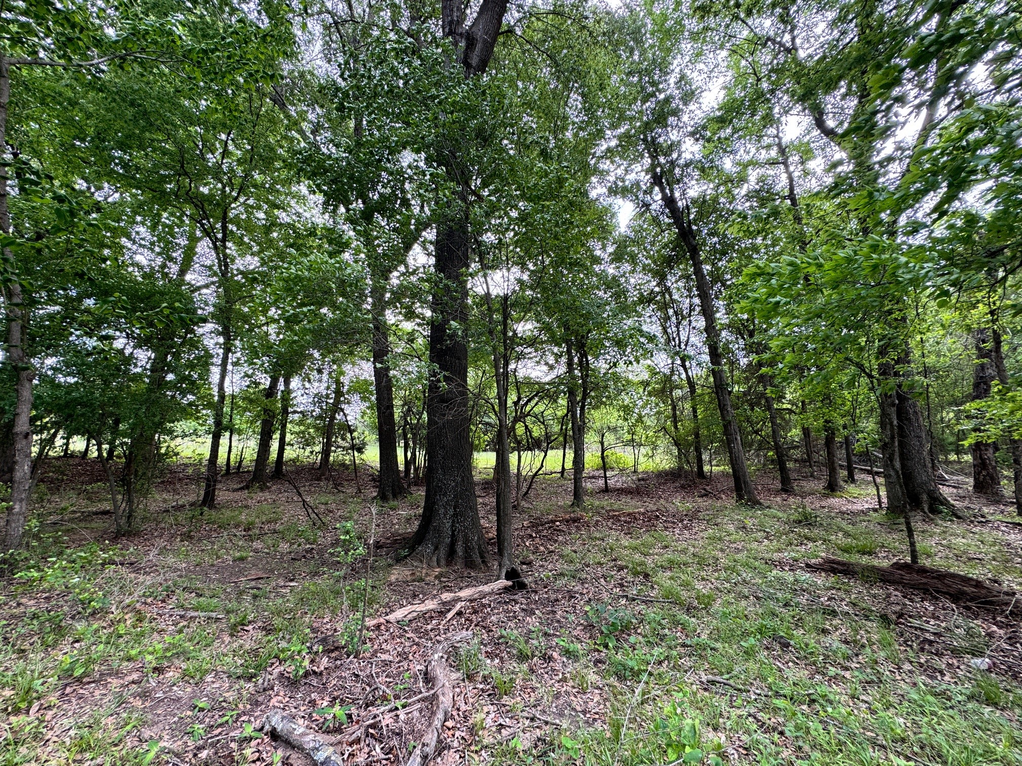 Tbd County Road 2415 Honey Grove TX 75446