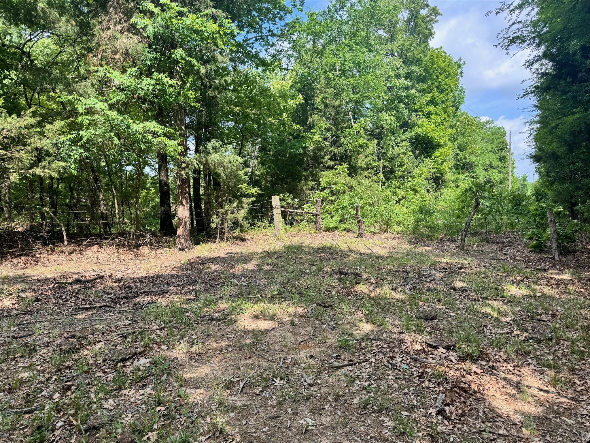 Tbd County Road 2415 Honey Grove TX 75446