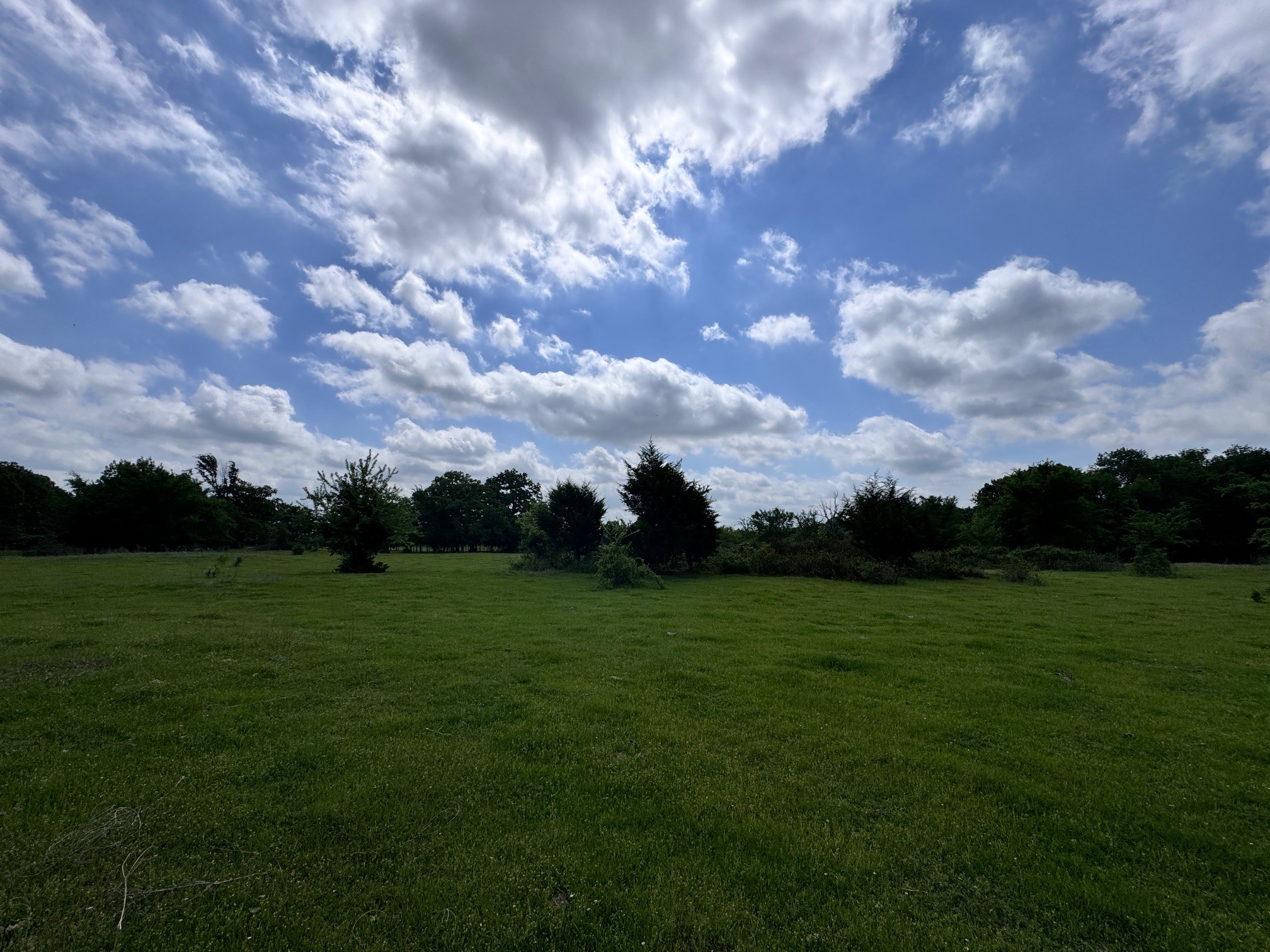 Tbd County Road 2415 Honey Grove TX 75446