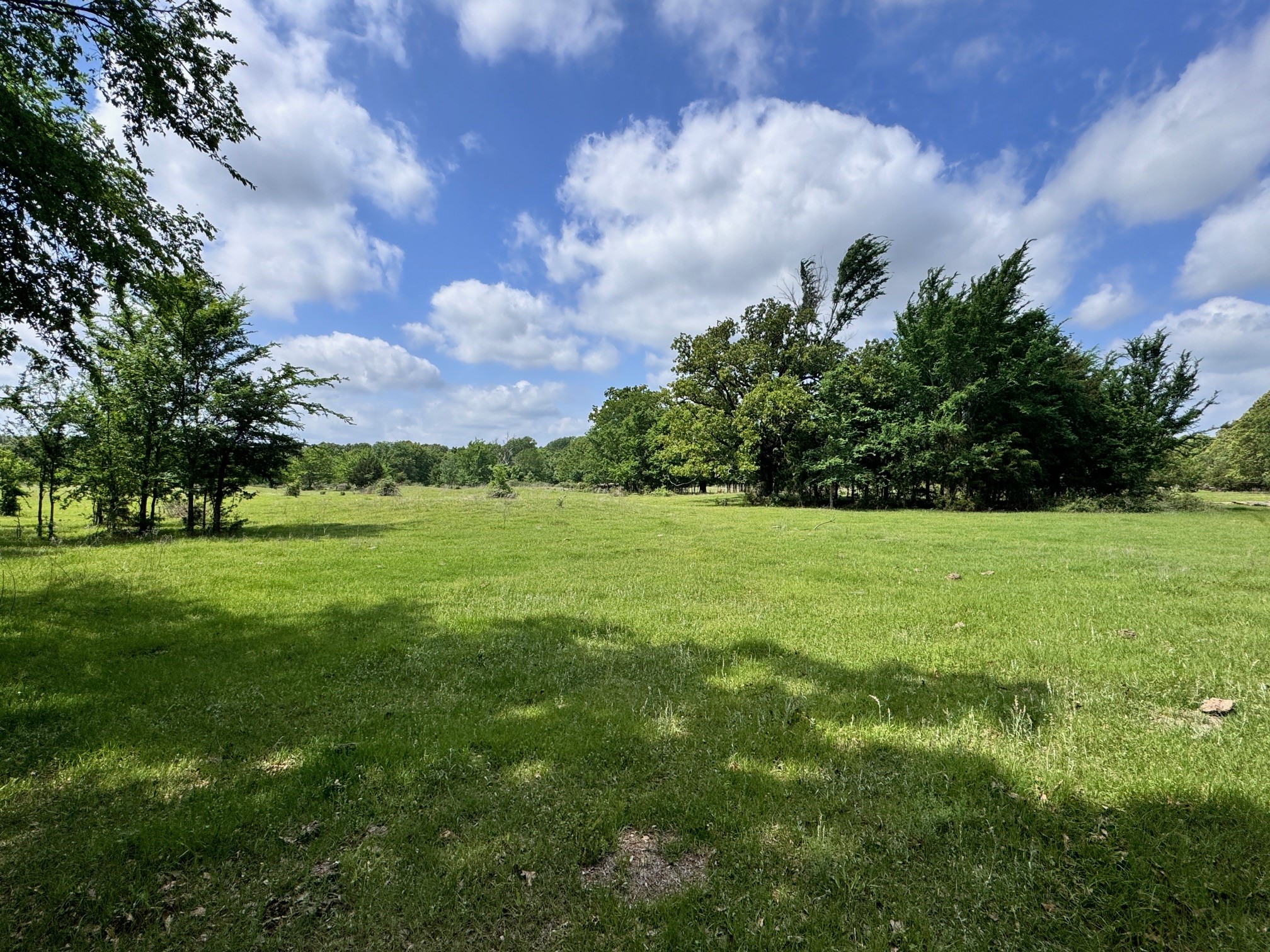 Tbd County Road 2415 Honey Grove TX 75446