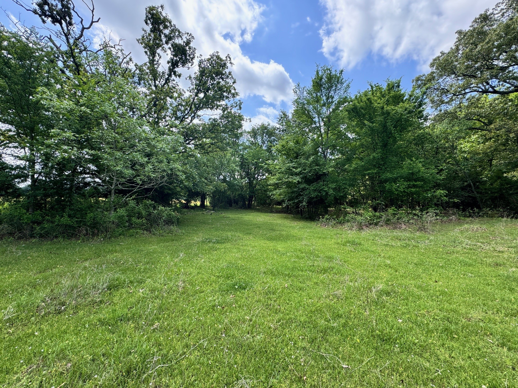 Tbd County Road 2415 Honey Grove TX 75446
