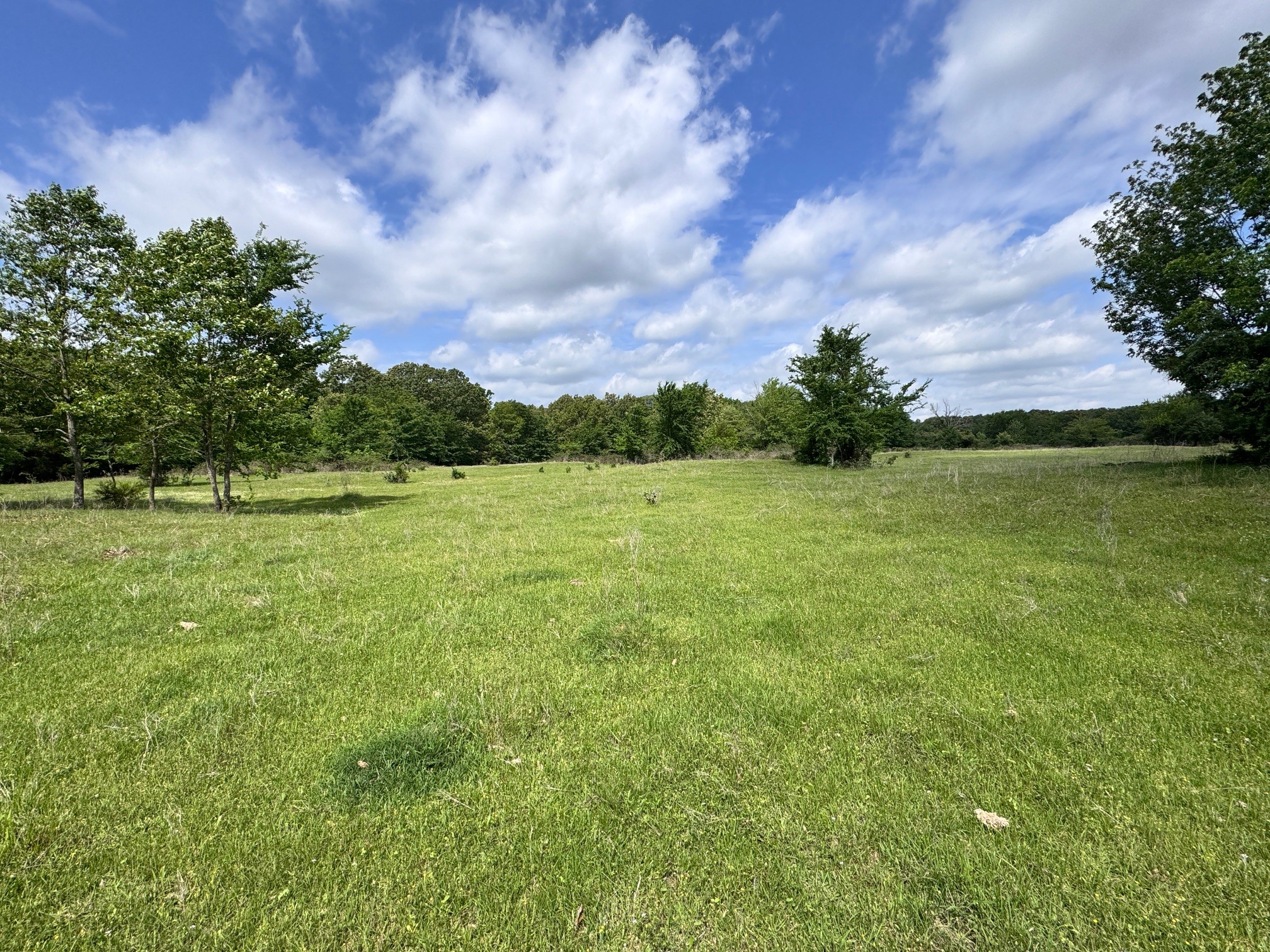 Tbd County Road 2415 Honey Grove TX 75446