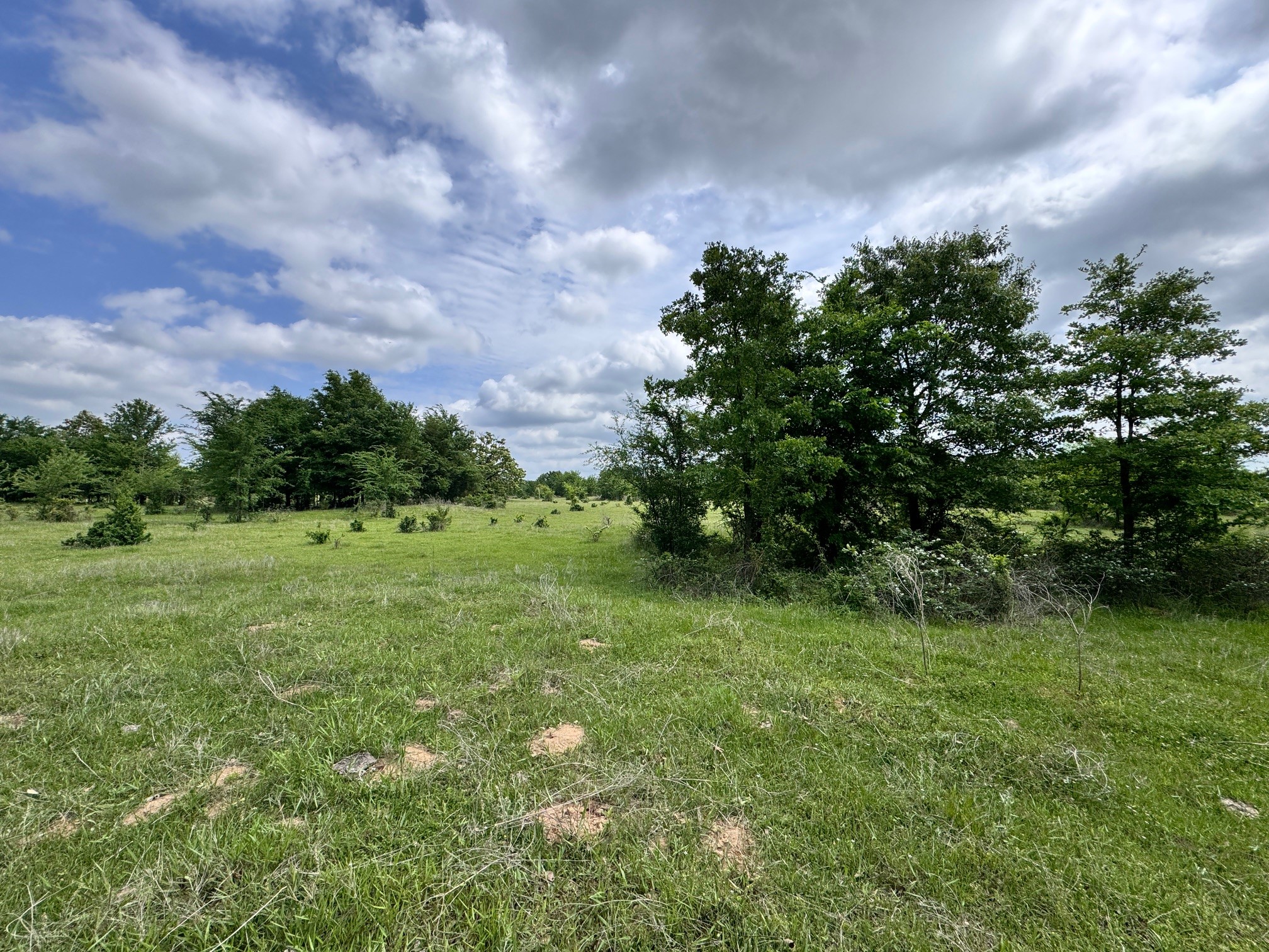 Tbd County Road 2415 Honey Grove TX 75446