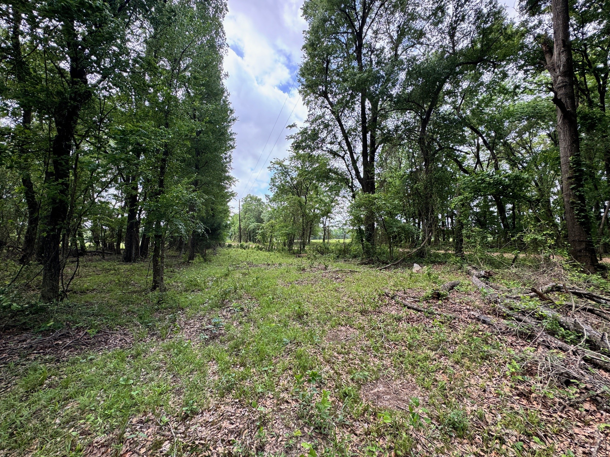 Tbd County Road 2415 Honey Grove TX 75446