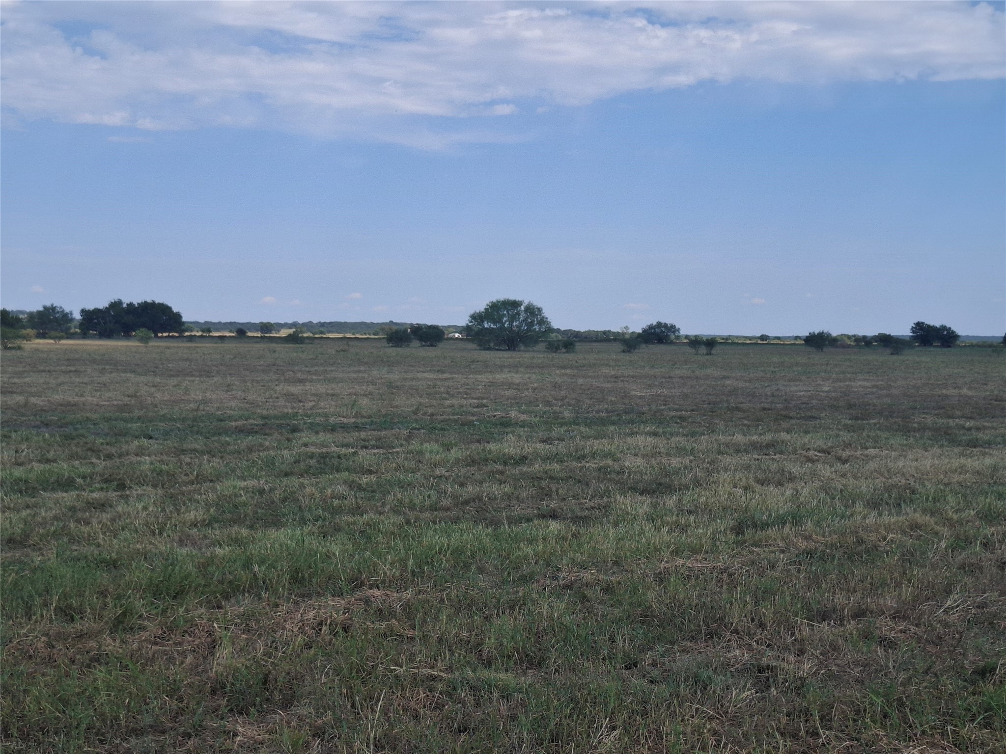 Tbd Prairie View Road Perrin TX 76486