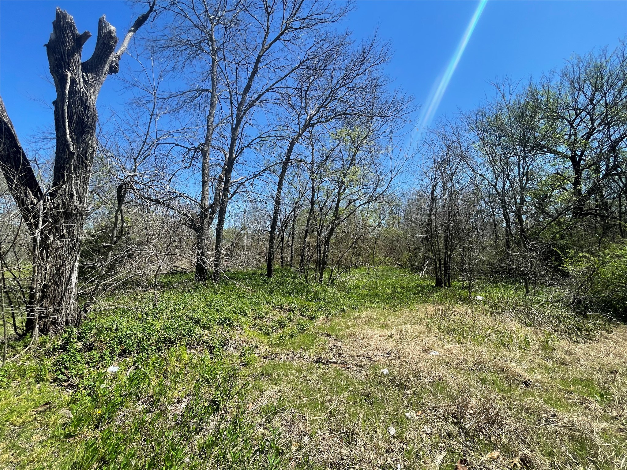 1021 N Branch Street Sherman TX 75090