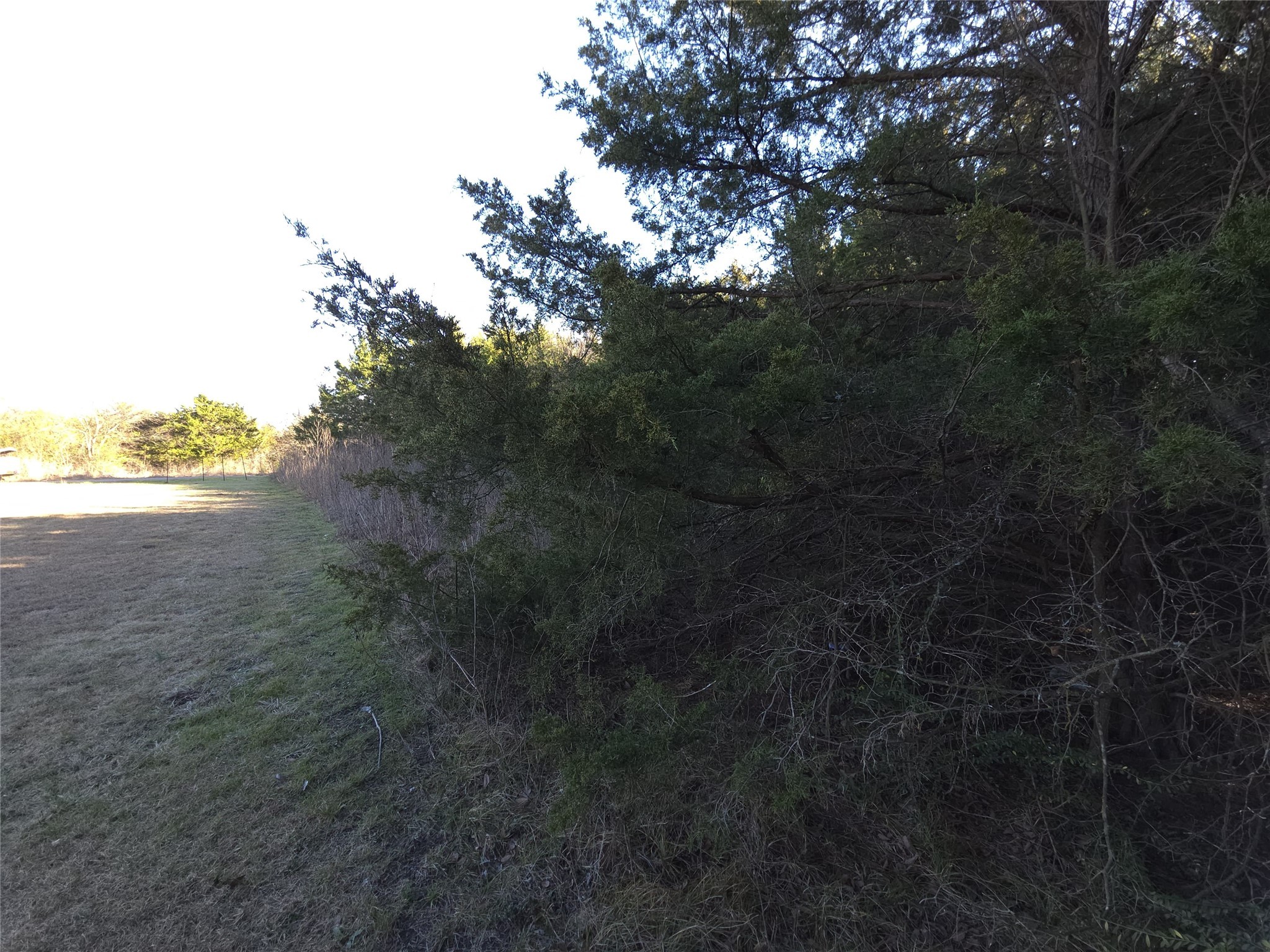 1816 Harrison Street Greenville TX 75401