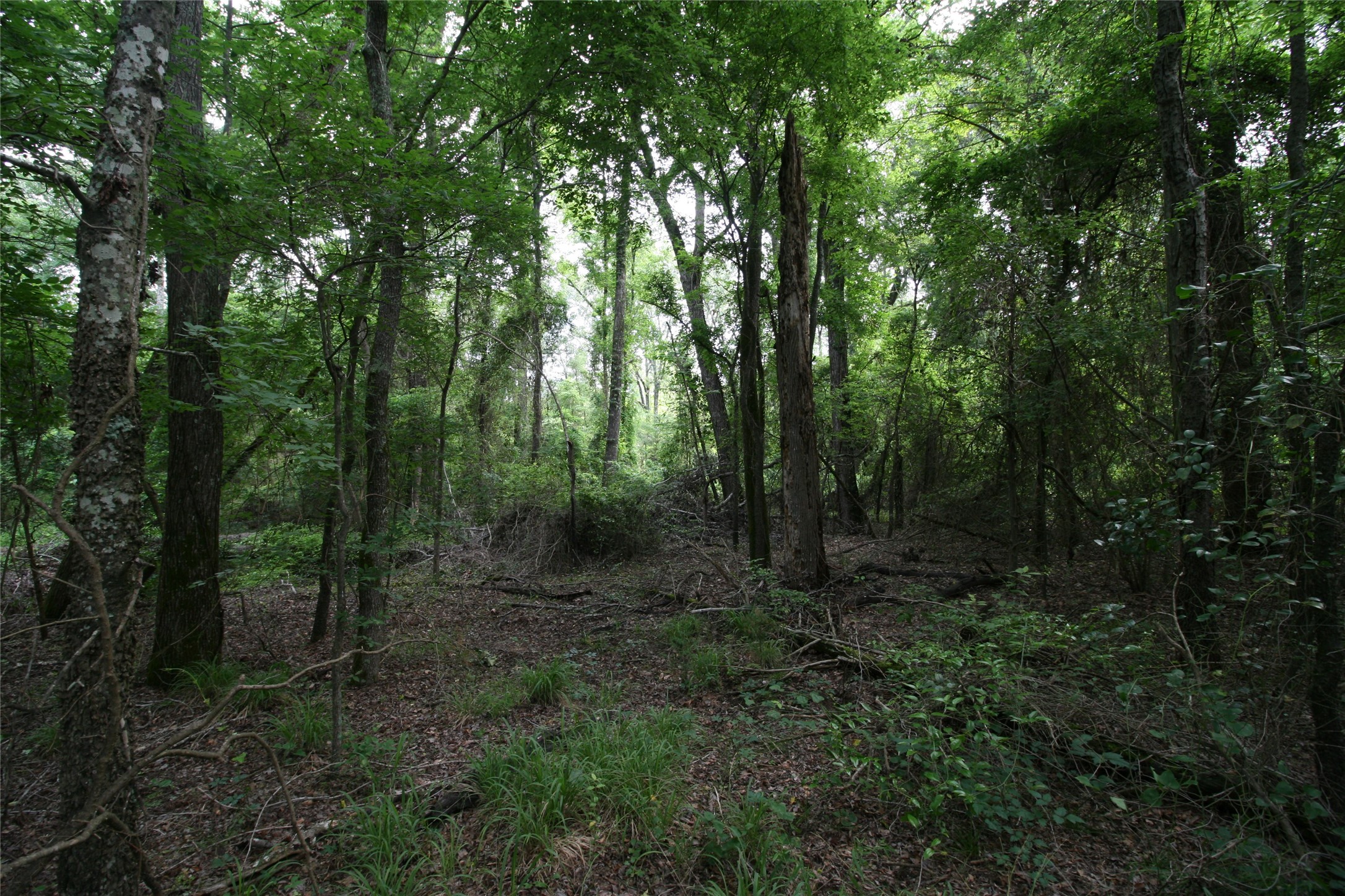 Tract 1 Tbd Vzcr 1507 Grand Saline TX 75140