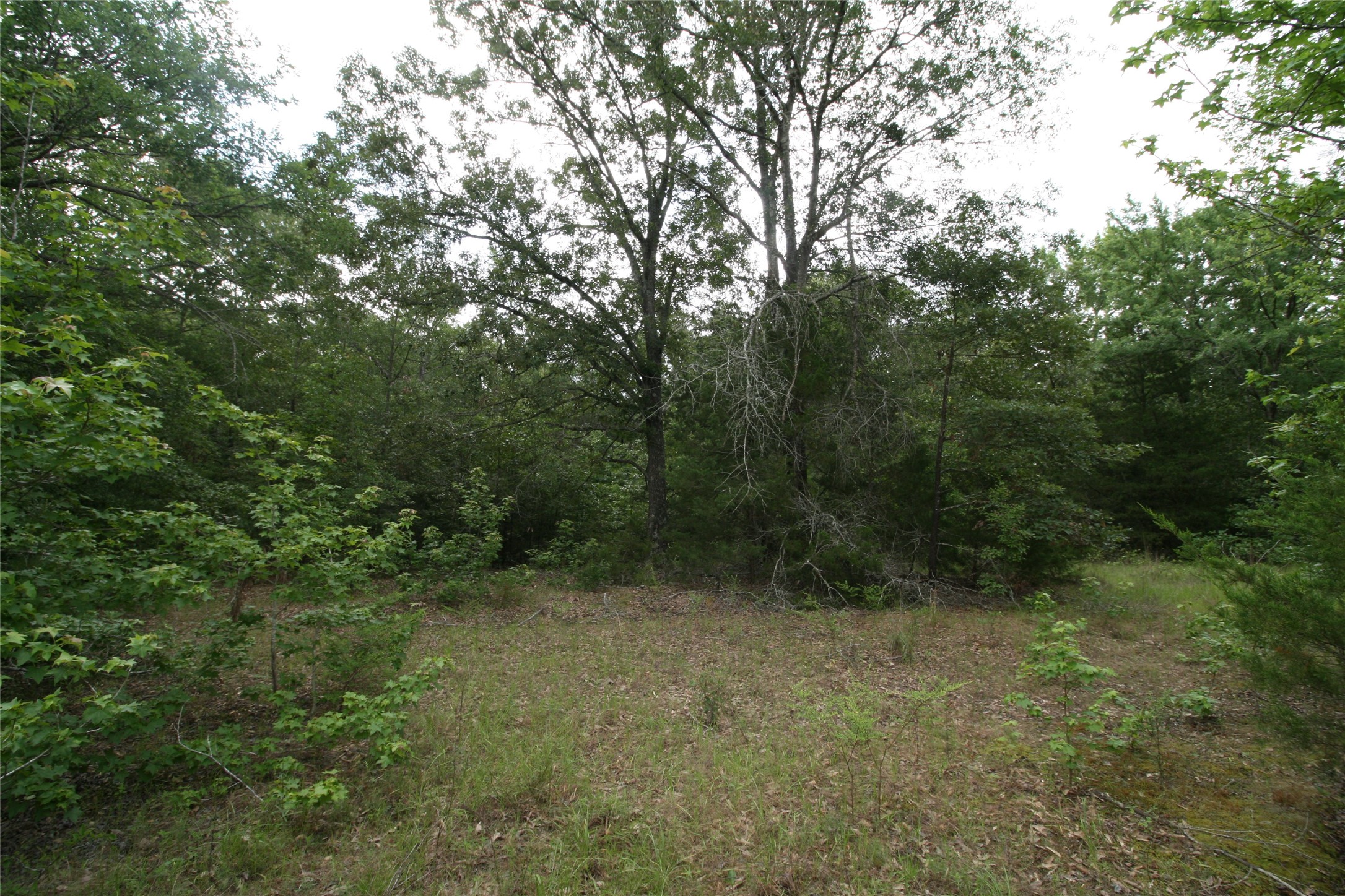Tract 1 Tbd Vzcr 1507 Grand Saline TX 75140