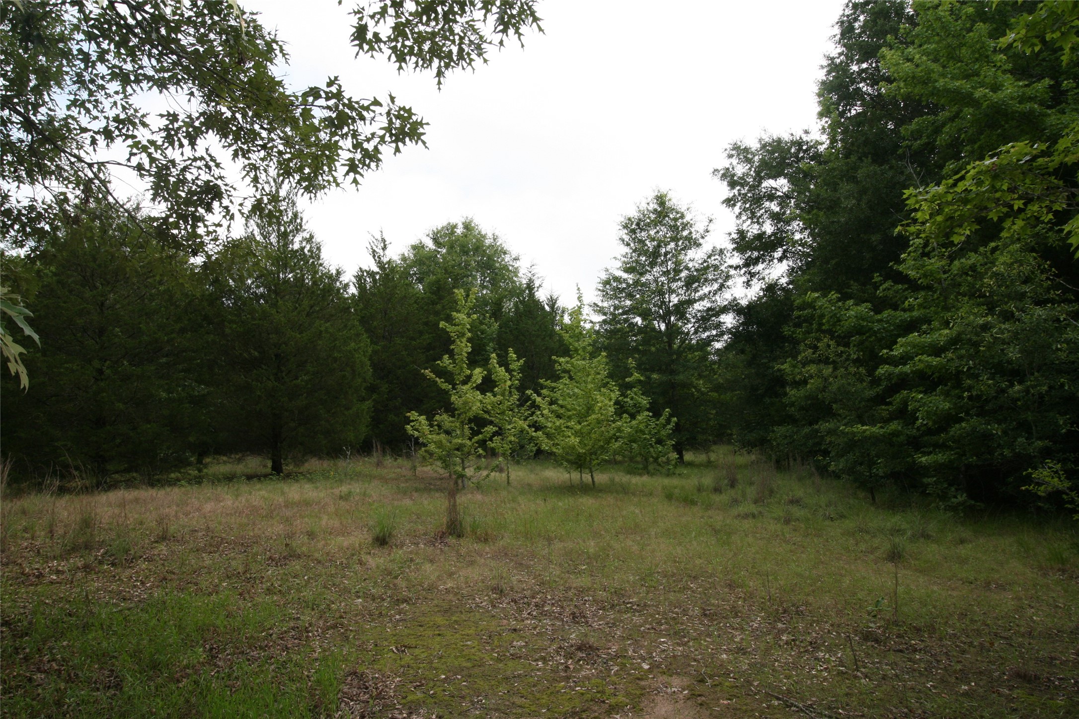 Tract 1 Tbd Vzcr 1507 Grand Saline TX 75140