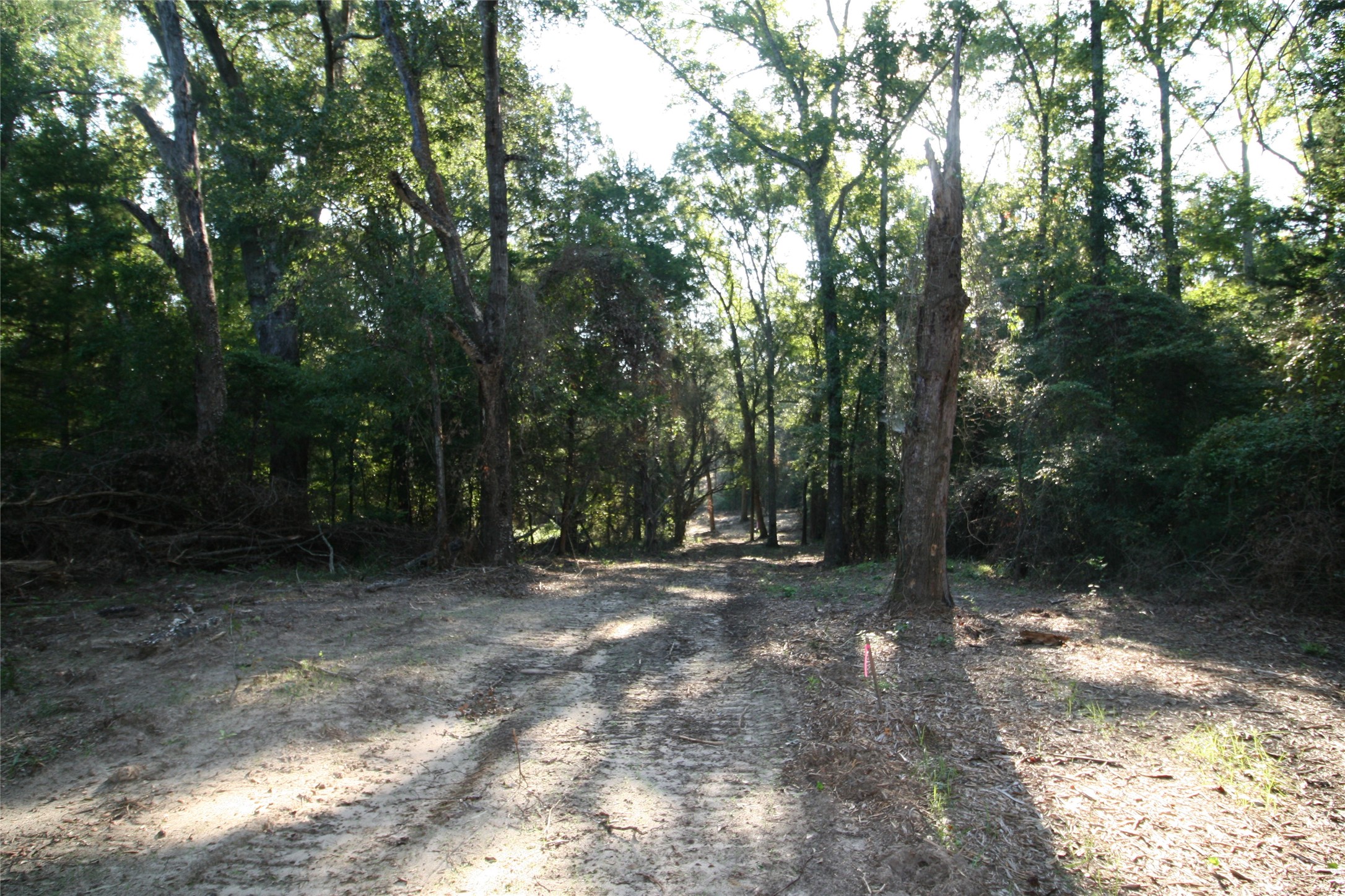 Tract 1 Tbd Vzcr 1507 Grand Saline TX 75140