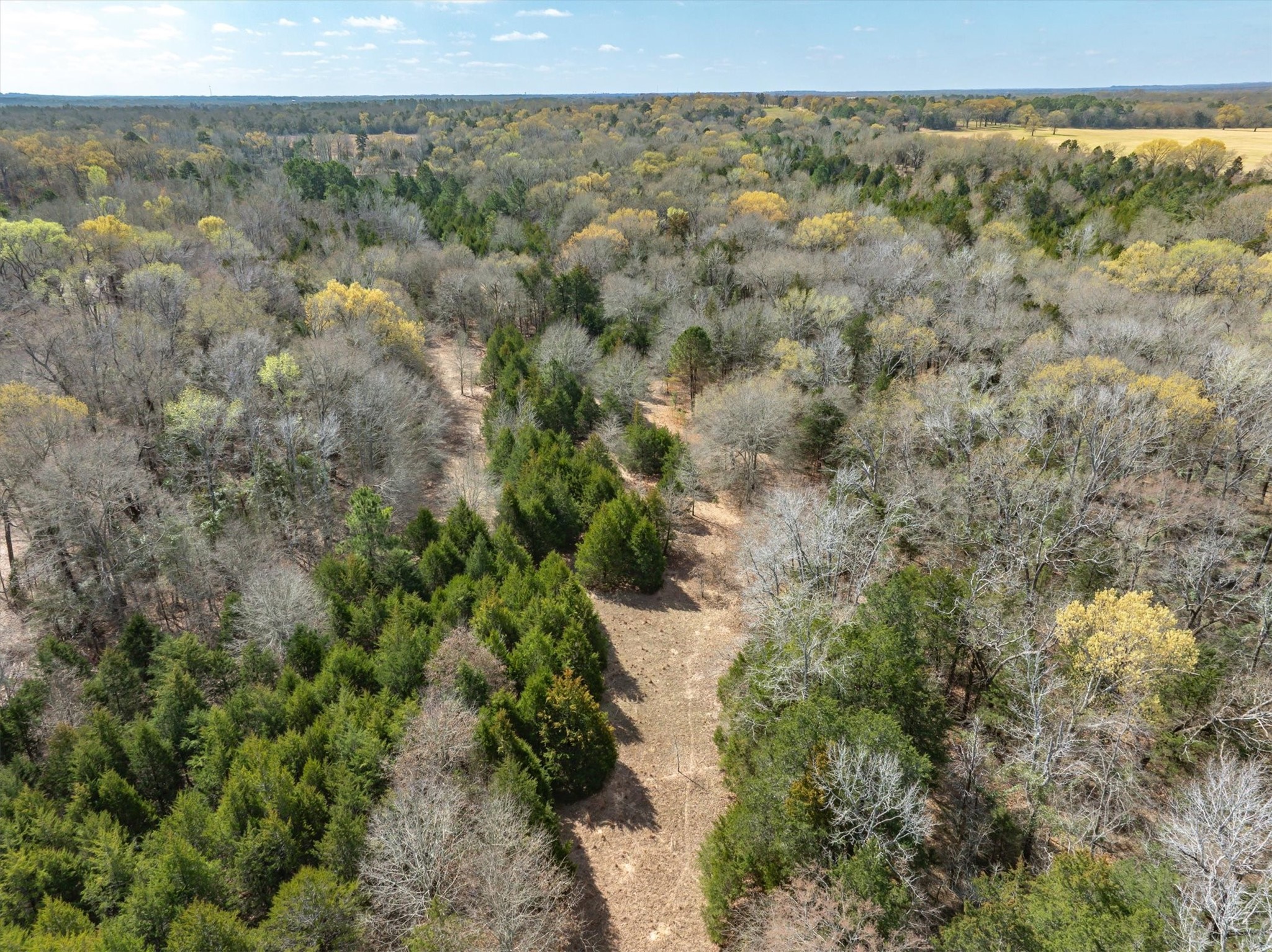Tract 1 Tbd Vzcr 1507 Grand Saline TX 75140