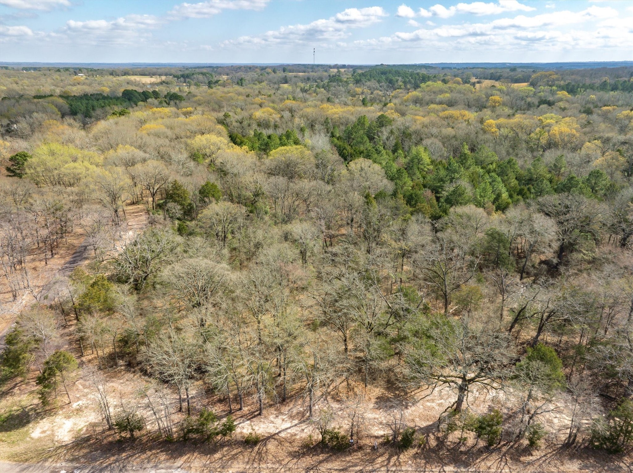 Tract 1 Tbd Vzcr 1507 Grand Saline TX 75140