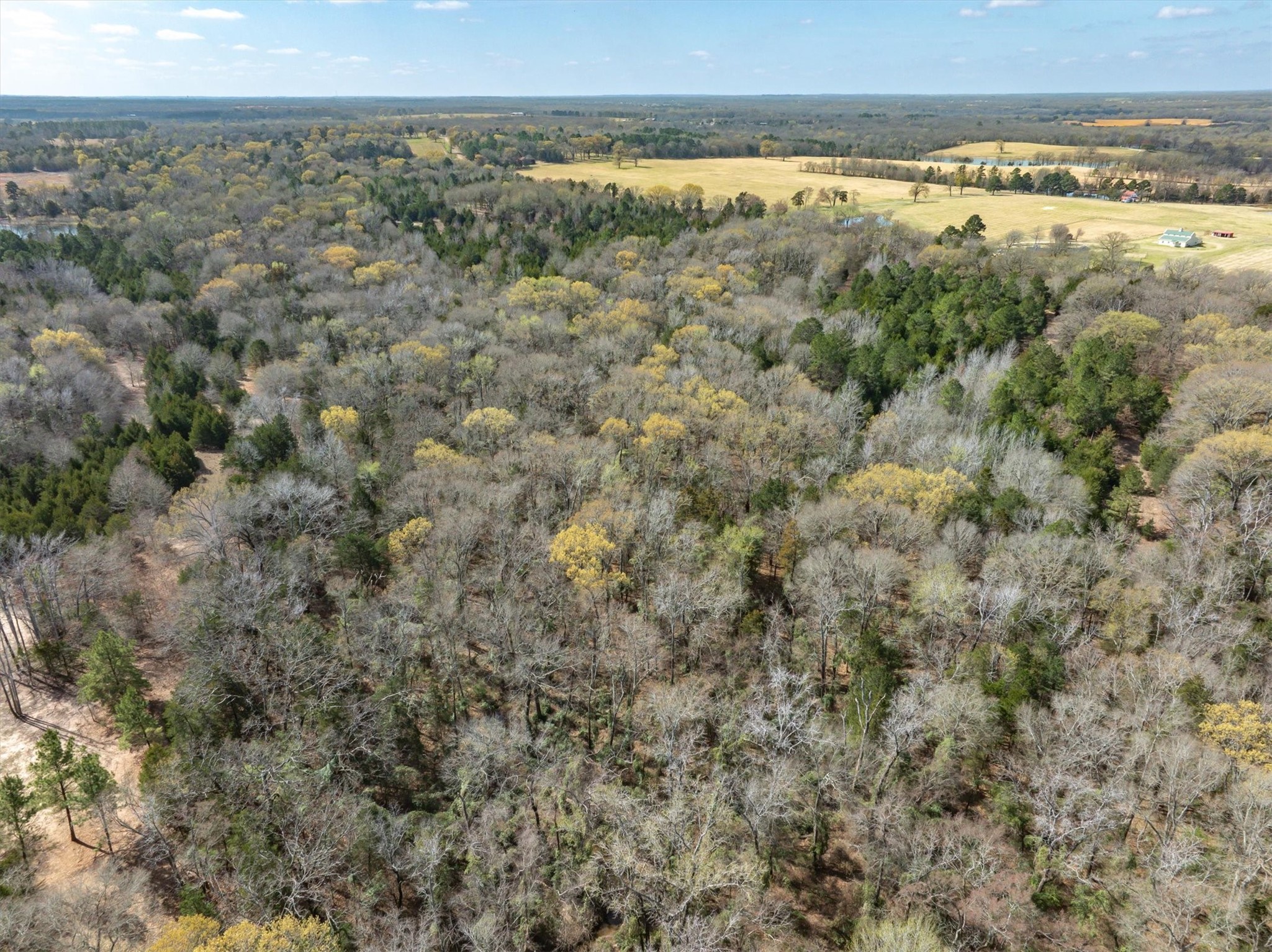 Tract 1 Tbd Vzcr 1507 Grand Saline TX 75140