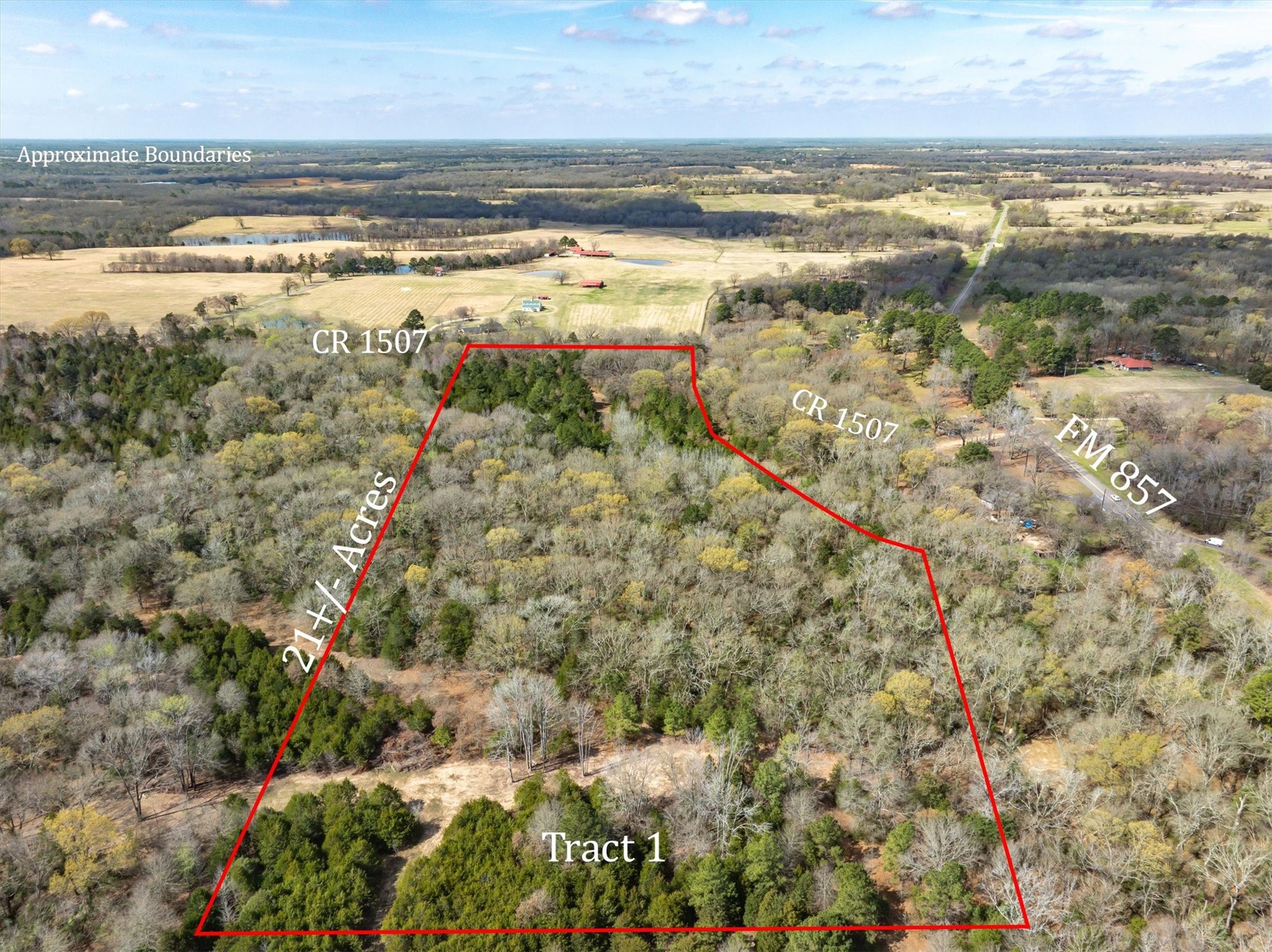 Tract 1 Tbd Vzcr 1507 Grand Saline TX 75140