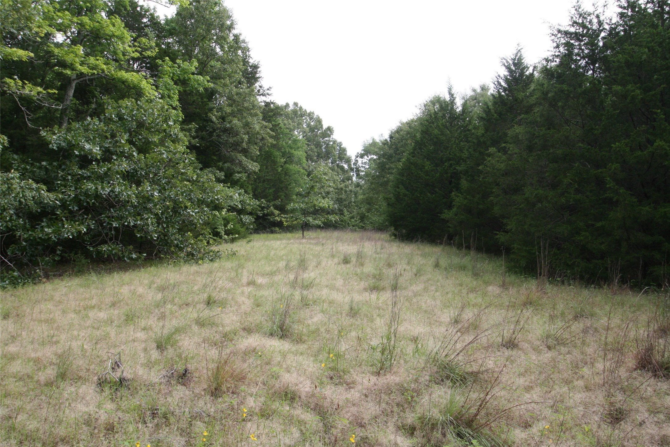 Tract 1 Tbd Vzcr 1507 Grand Saline TX 75140