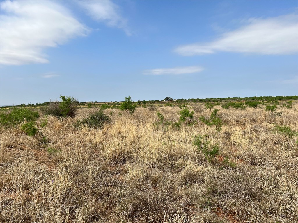 Tbd U S Highway 277 Bronte TX 76933