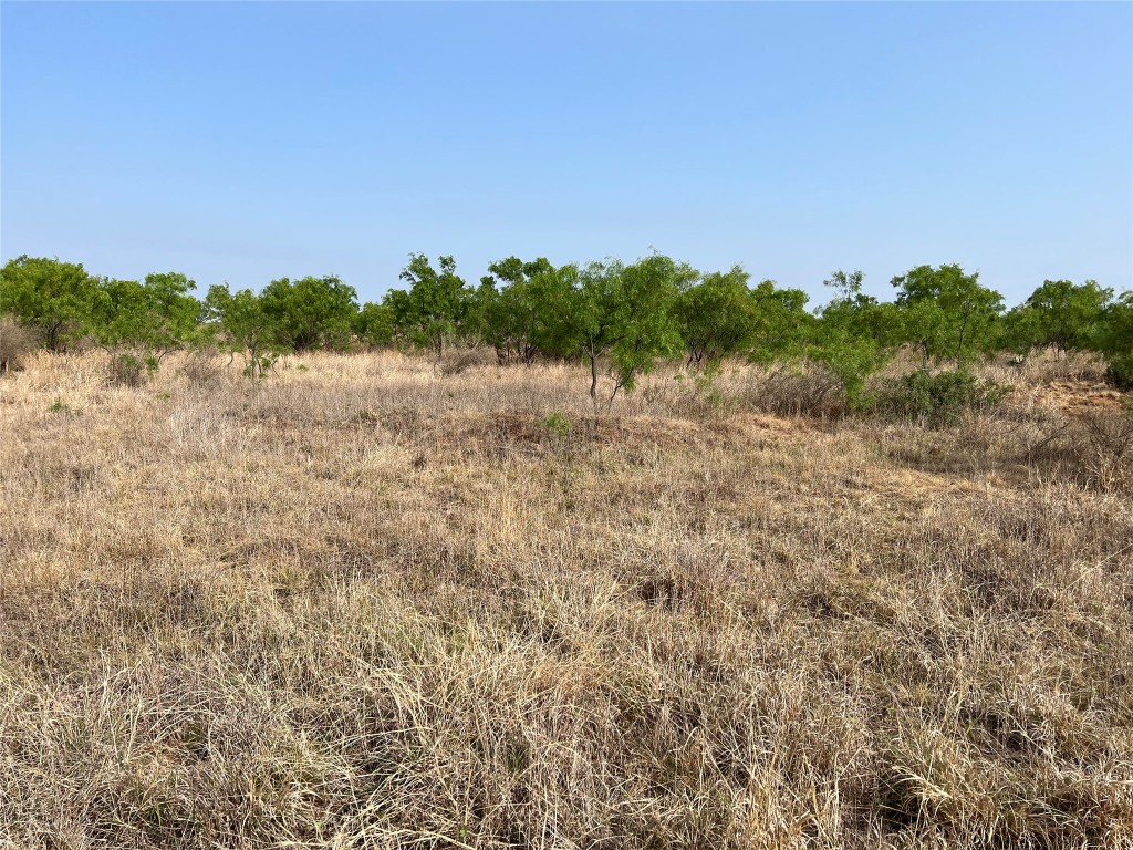 Tbd U S Highway 277 Bronte TX 76933