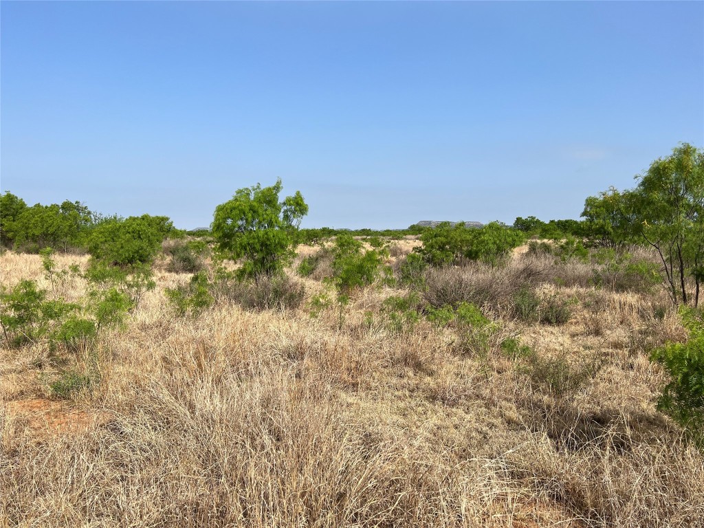 Tbd U S Highway 277 Bronte TX 76933