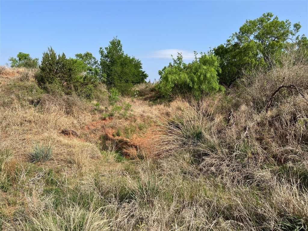 Tbd U S Highway 277 Bronte TX 76933