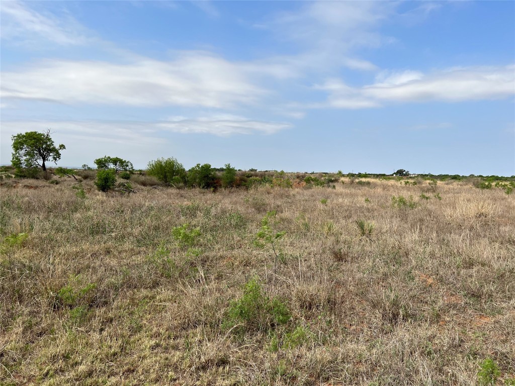 Tbd U S Highway 277 Bronte TX 76933