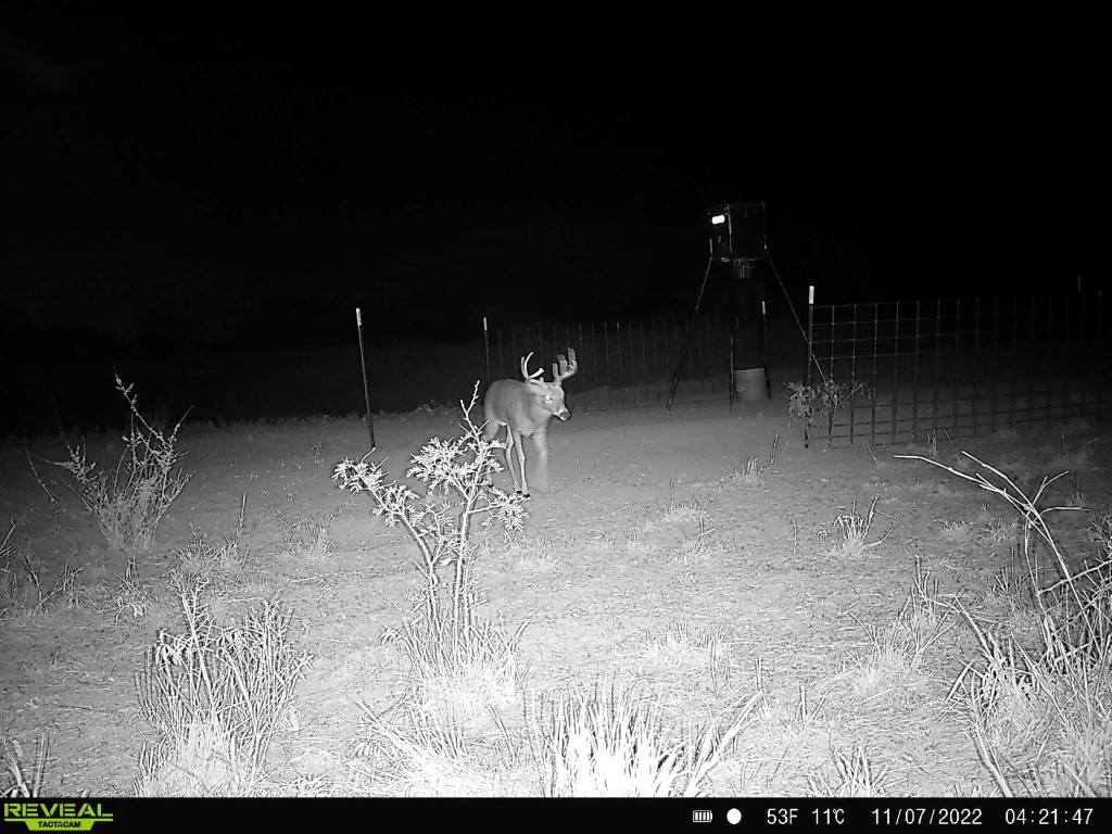 Tbd U S Highway 277 Bronte TX 76933